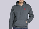 Debian Swirl hoodie