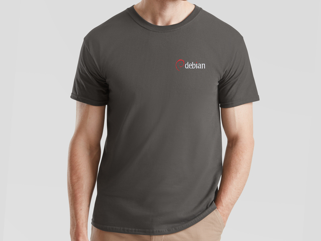 Debian T-Shirt (graphite)