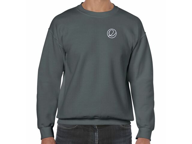 Elementary crewneck sweatshirt