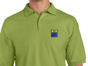 F-Droid Polo Shirt (green) old type