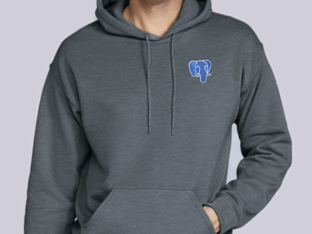 PostgreSQL hoodie