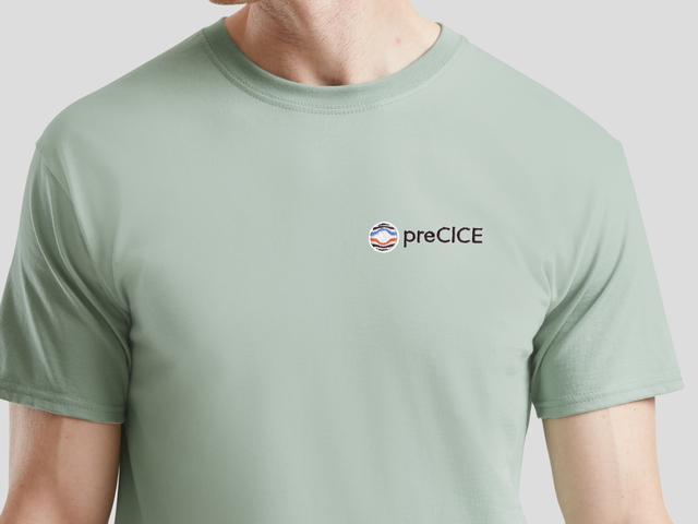 preCICE T-Shirt (sage)