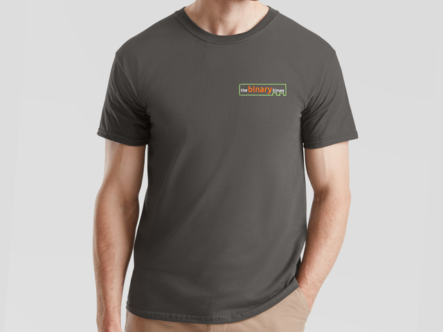 The Binary Times T-Shirt (graphite)